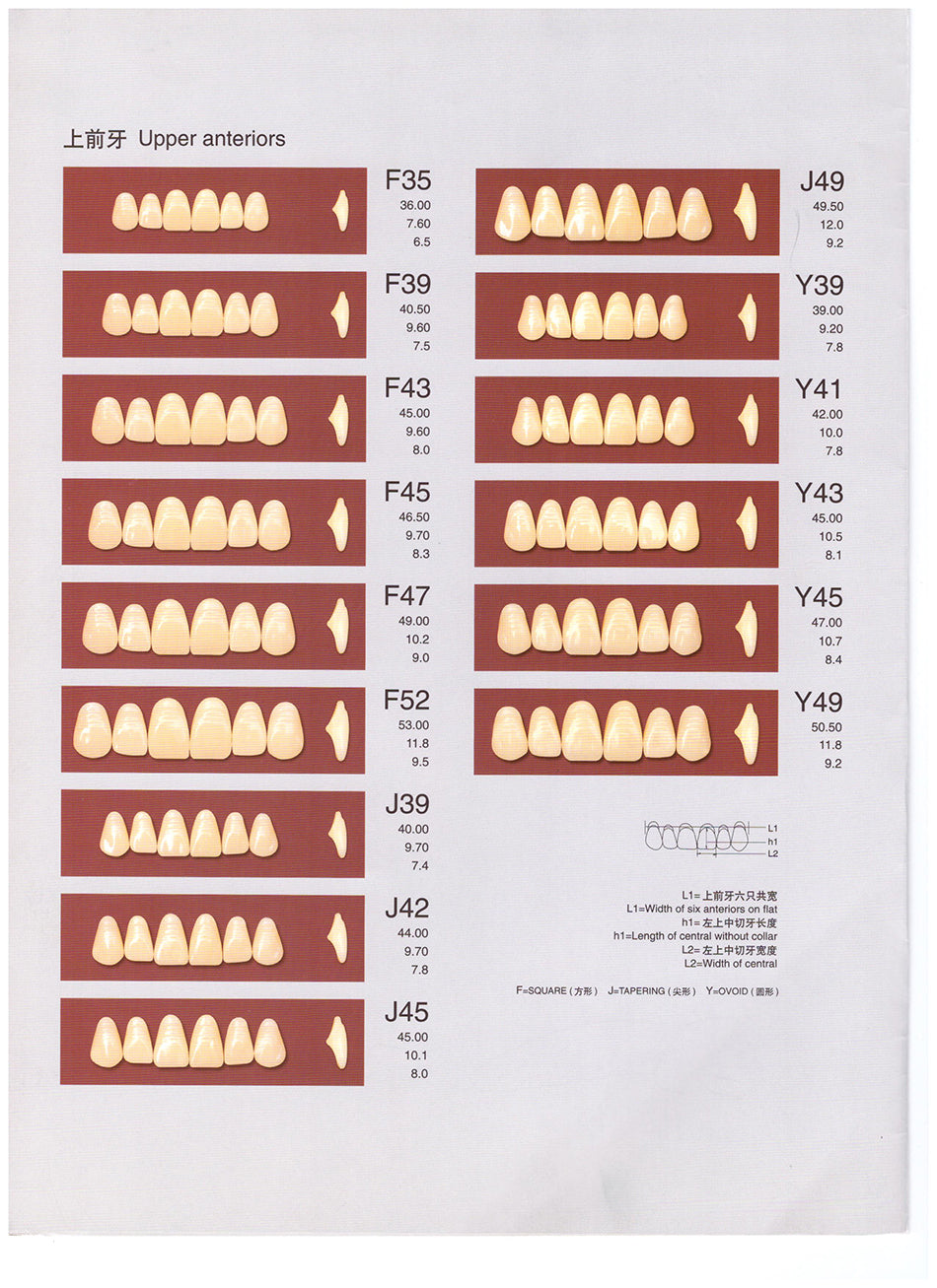 上齿 鼎健 单色合成树脂牙（上前牙） 6*16付/盒 F43 A2